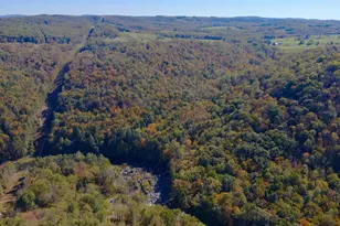 268 Wild Flower Way, Albright, WV 26519 - Photo 15