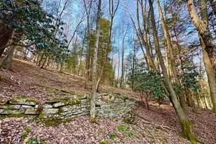 268 Wild Flower Way, Albright, WV 26519 - Photo 17