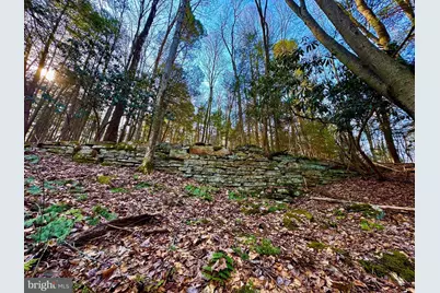 268 Wild Flower Way, Albright, WV 26519 - Photo 19