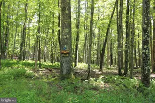 1218 E Alpine Dr, Terra Alta, WV 26764 - Photo 87