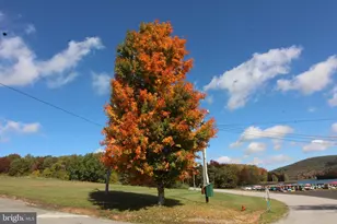 1218 E Alpine Dr, Terra Alta, WV 26764 - Photo 81