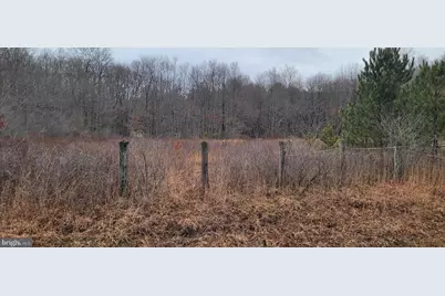 Camp Galilee Road, Terra Alta, WV 26764 - Photo 3