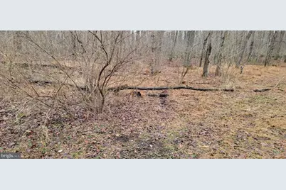 Camp Galilee Road, Terra Alta, WV 26764 - Photo 7