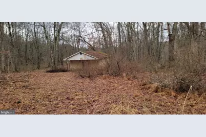 Camp Galilee Road, Terra Alta, WV 26764 - Photo 21