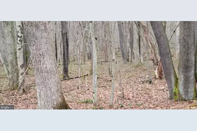 Camp Galilee Road, Terra Alta, WV 26764 - Photo 29