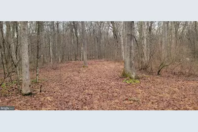 Camp Galilee Road, Terra Alta, WV 26764 - Photo 11