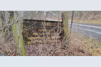 Camp Galilee Road, Terra Alta, WV 26764 - Photo 43