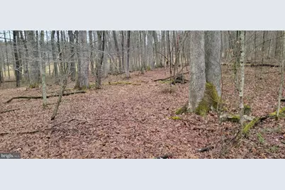 Camp Galilee Road, Terra Alta, WV 26764 - Photo 41