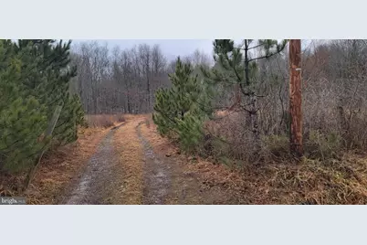 Camp Galilee Road, Terra Alta, WV 26764 - Photo 1