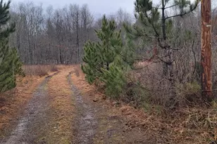 Camp Galilee Rd, Terra Alta, WV 26764 - Photo 1