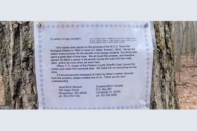 Camp Galilee Road, Terra Alta, WV 26764 - Photo 33