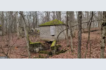 Camp Galilee Road, Terra Alta, WV 26764 - Photo 17