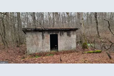 Camp Galilee Road, Terra Alta, WV 26764 - Photo 19