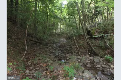 1000 Snake Rd, Aurora, WV 26705 - Photo 3