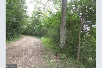 1000 Snake Rd, Aurora, WV 26705 - Photo 1