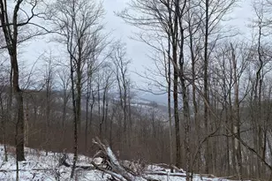 Tbd Stemple Ridge Rd, Aurora, WV 26705 - Photo 1