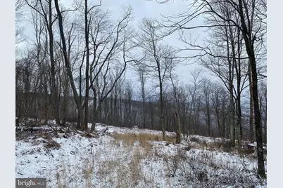 Tbd Stemple Ridge Road, Aurora, WV 26705 - Photo 5