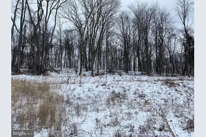 Tbd Stemple Ridge Road, Aurora, WV 26705 - Photo 7