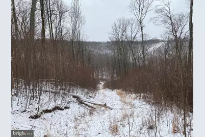 Tbd Stemple Ridge Road, Aurora, WV 26705 - Photo 13