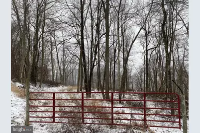 Tbd Stemple Ridge Road, Aurora, WV 26705 - Photo 15