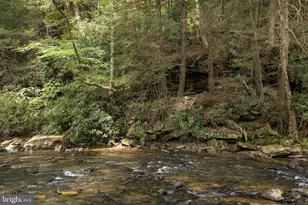 653 Watersound Trce, Bruceton Mills, WV 26525 - Photo 47