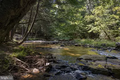 653 Watersound Trace, Bruceton Mills, WV 26525 - Photo 53