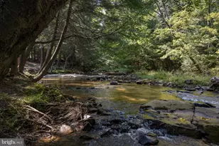 653 Watersound Trce, Bruceton Mills, WV 26525 - Photo 53