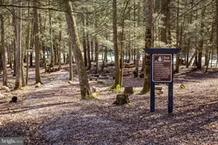 653 Watersound Trce, Bruceton Mills, WV 26525 - Photo 57