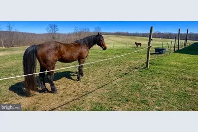 301 Dinkenberger Road, Kingwood, WV 26537 - Photo 31