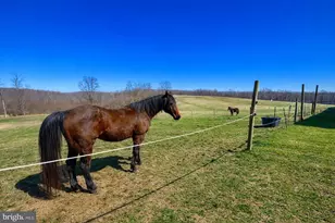 301 Dinkenberger Rd, Kingwood, WV 26537 - Photo 31