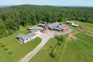 301 Dinkenberger Rd, Kingwood, WV 26537 - Photo 33