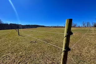 301 Dinkenberger Rd, Kingwood, WV 26537 - Photo 43