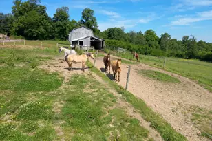 301 Dinkenberger Rd, Kingwood, WV 26537 - Photo 45