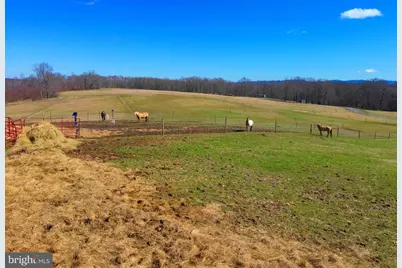 301 Dinkenberger Road, Kingwood, WV 26537 - Photo 47