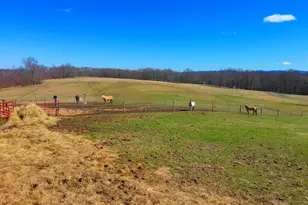 301 Dinkenberger Rd, Kingwood, WV 26537 - Photo 47