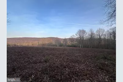 1157 Lakeford Road, Terra Alta, WV 26764 - Photo 13