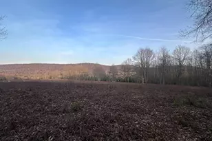 1157 Lakeford Rd, Terra Alta, WV 26764 - Photo 13