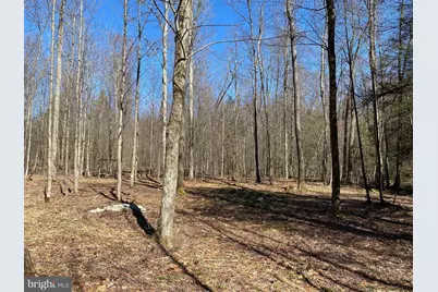 53 Riverstone Landing #121, Bruceton Mills, WV 26525 - Photo 11