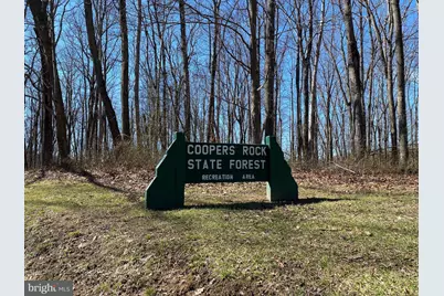 53 Riverstone Landing #121, Bruceton Mills, WV 26525 - Photo 29