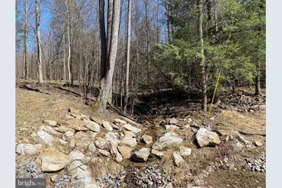 53 Riverstone Landing #121, Bruceton Mills, WV 26525 - Photo 17