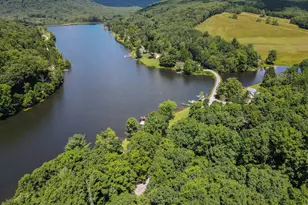 4502 Hileman Rd, Bruceton Mills, WV 26525 - Photo 67