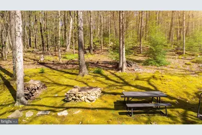 4502 Hileman Road, Bruceton Mills, WV 26525 - Photo 57