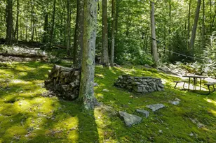 4502 Hileman Rd, Bruceton Mills, WV 26525 - Photo 69