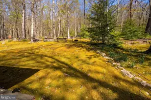 4502 Hileman Rd, Bruceton Mills, WV 26525 - Photo 47