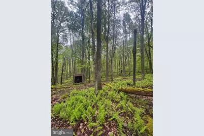 493 Galilee Road, Bruceton Mills, WV 26525 - Photo 45