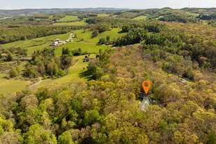 100 W Youghiogheny Dr, Aurora, WV 26705 - Photo 53
