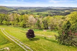 1516 White Oak School Rd, Terra Alta, WV 26764 - Photo 9