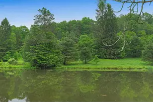1213 Cash Valley Rd, Eglon, WV 26716 - Photo 5