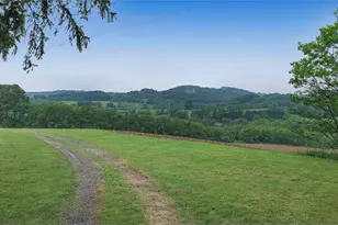 1213 Cash Valley Rd, Eglon, WV 26716 - Photo 9