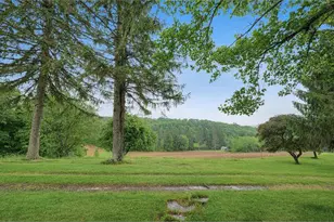 1213 Cash Valley Rd, Eglon, WV 26716 - Photo 11